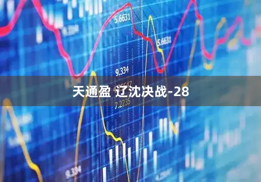 天通盈 辽沈决战-28
