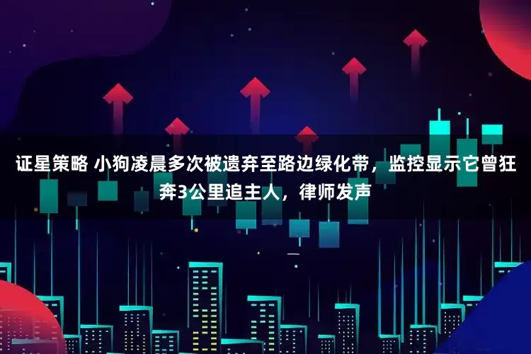 证星策略 小狗凌晨多次被遗弃至路边绿化带，监控显示它曾狂奔3公里追主人，律师发声