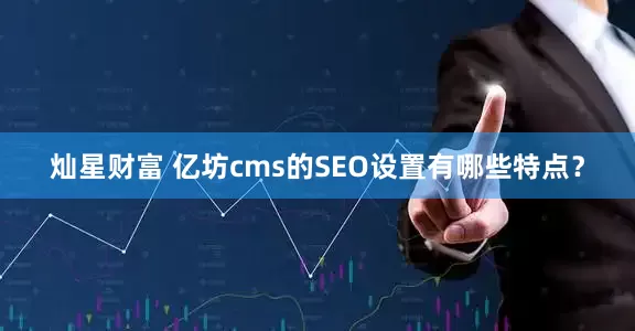 灿星财富 亿坊cms的SEO设置有哪些特点?