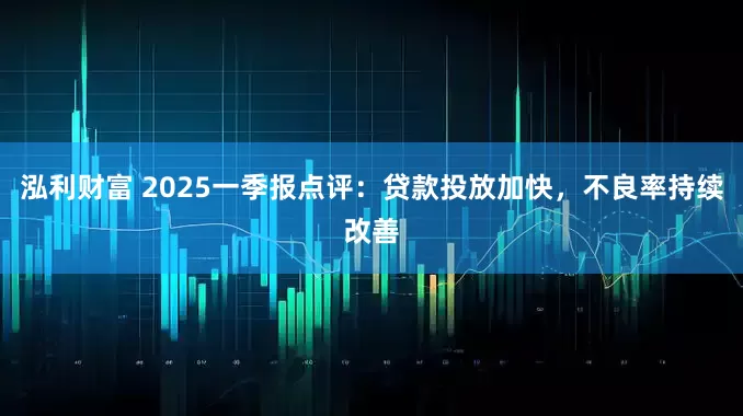 泓利财富 2025一季报点评：贷款投放加快，不良率持续改善
