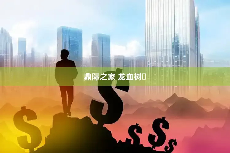 鼎际之家 龙血树‌