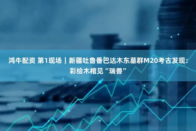 鸿牛配资 第1现场｜新疆吐鲁番巴达木东墓群M20考古发现：彩绘木棺见“瑞兽”